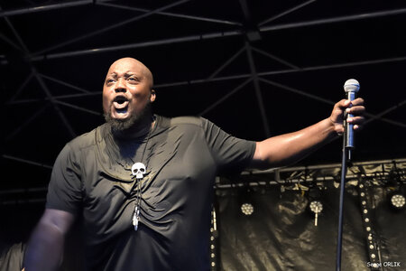 Sugaray Rayford - Epinal -29-07-16, DSC_4624