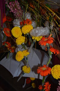 DECORS 2016, dec24