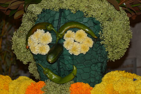 JARDINIER 2016, BR6_2643