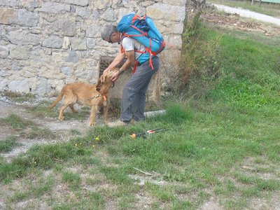 Randonnée du 16/10/2016 au col de l'Armande, IMG_4204