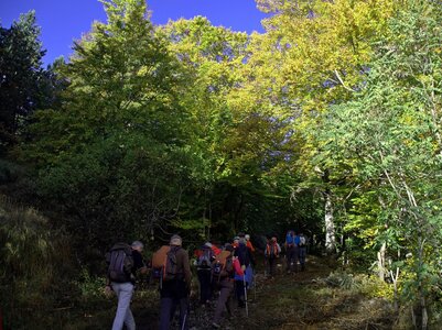 Randonnée du 18/10/2016 au lac Peyssier, PA180010  Copier 