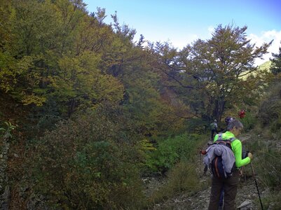 Randonnée du 18/10/2016 au lac Peyssier, PA180014  Copier 