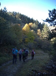 Randonnée du 18/10/2016 au lac Peyssier, PA180055  Copier 