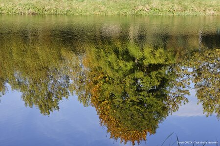 Couleurs d'automne - Epinal - 22/10/2016, DSC_7272