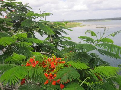 Brasil, thumb_IMG_1015_1024