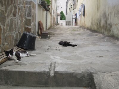Brasil, thumb_IMG_1016_1024