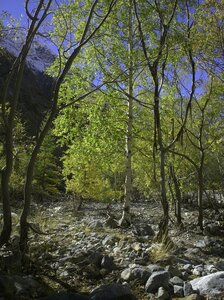 Randonnée du 19/102016 au Pré de la Chaumette, PA190094 (Copier)