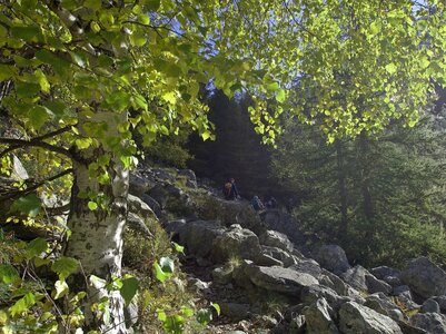 Randonnée du 19/102016 au Pré de la Chaumette, PA190062 (Copier)