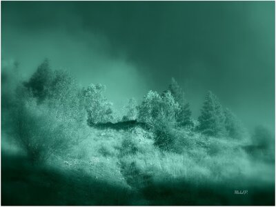 Randonnée du 19/102016 au Pré de la Chaumette, PA190018-002 (Copier)