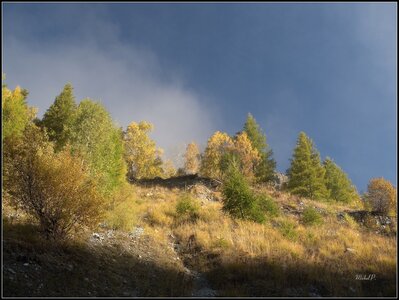 Randonnée du 19/102016 au Pré de la Chaumette, PA190018-001 (Copier)