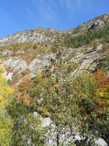 2016-10-20 Clues de Barles, DSCN4099