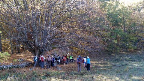 Banon, 20161030_142749