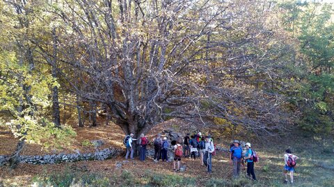Banon, 20161030_142741
