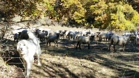 Banon, 20161030_142416