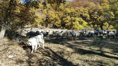 Banon, 20161030_142408