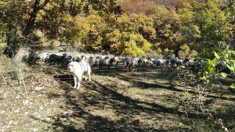 Banon, 20161030_142400