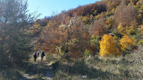 Banon, 20161030_133201
