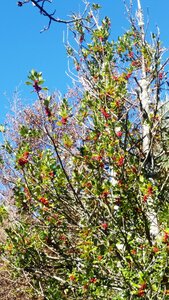 Banon, 20161030_120654