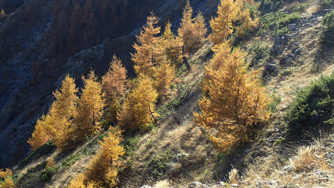 Reconnaissance au lac de la dent, patrice-030461