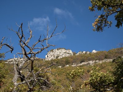 Randonnée du 08/11/2016 vers Noyers-sur-Jabron, PB080047  Copier 
