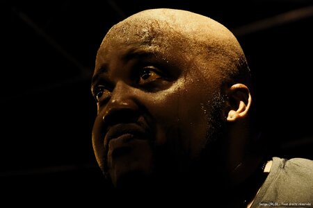 Sugaray Rayford - Epinal -29-07-16, DSC_4792