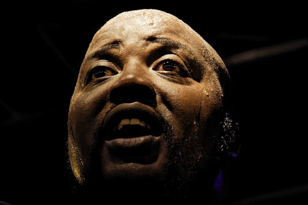 Sugaray Rayford - Epinal -29-07-16, DSC_4789