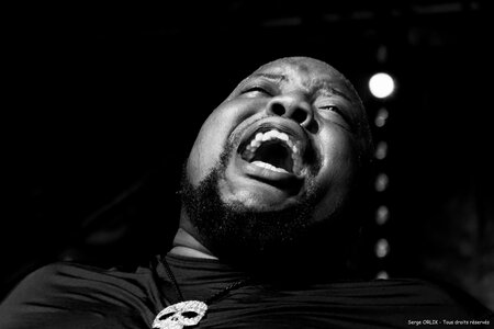 Sugaray Rayford - Epinal -29-07-16, DSC_4700