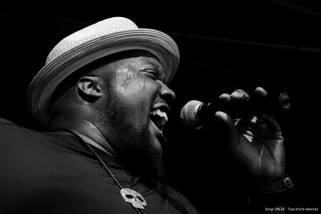 Sugaray Rayford - Epinal -29-07-16, DSC_4592