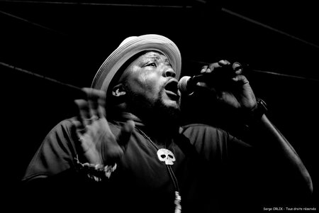 Sugaray Rayford - Epinal -29-07-16, DSC_4589