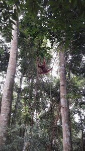Singapour 2016, 20161020_105752