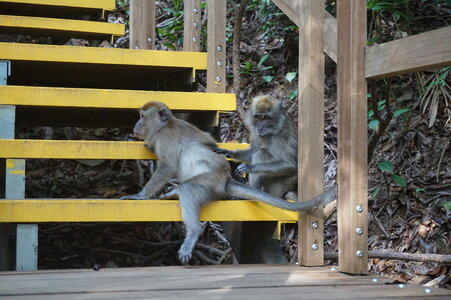 Singapour 2016, DSC00481