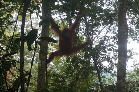 Singapour 2016, DSC00590
