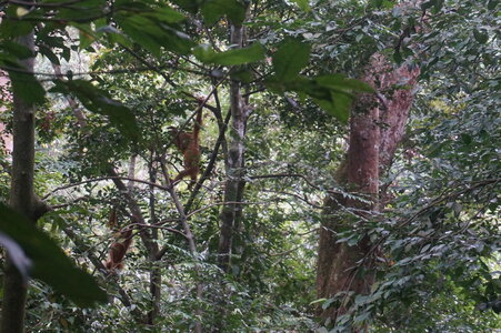Singapour 2016, DSC00619