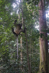 Singapour 2016, DSC00624