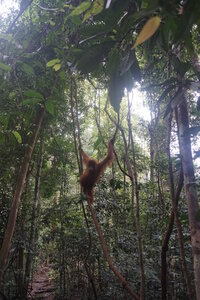 Singapour 2016, DSC00631