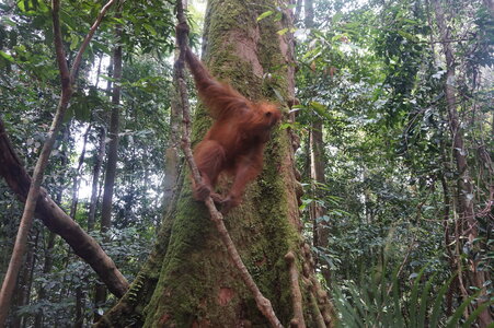 Singapour 2016, DSC00636