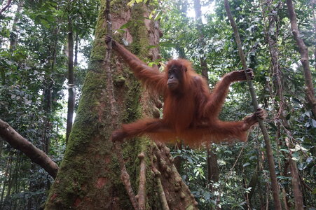 Singapour 2016, DSC00638