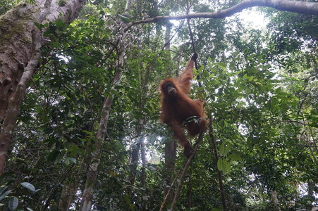 Singapour 2016, DSC00649