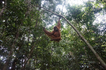 Singapour 2016, DSC00656