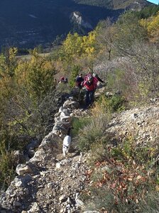 Randonnée du 15/11/2016 à Orpierre, PB150022  Copier 