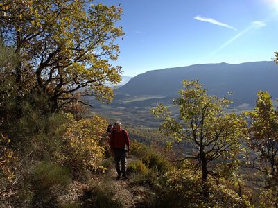 Randonnée du 15/11/2016 à Orpierre, PB150032  Copier 