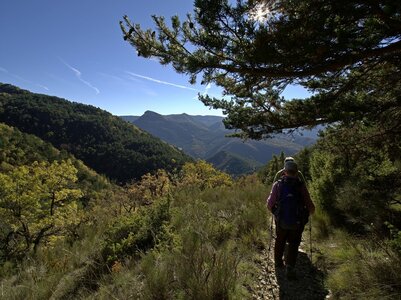 Randonnée du 15/11/2016 à Orpierre, PB150073  Copier 