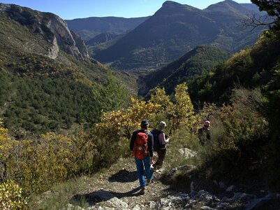 Randonnée du 15/11/2016 à Orpierre, PB150074  Copier 