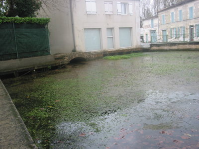 Commune Migron 17770, Fontaine_2-herbe