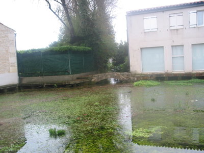 Commune Migron 17770, Fontaine_3-que d’herbe
