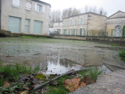 Commune Migron 17770, Fontaine-1