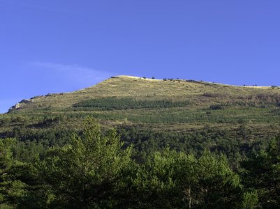 Randonnée du 27/11/2016 à la montagne de l'Aup, PB270019  Copier 