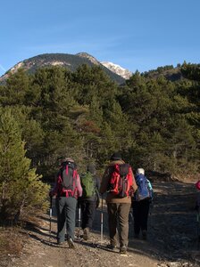 Randonnée du 27/11/2016 à la montagne de l'Aup, PB270020  Copier 