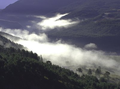 Randonnée du 27/11/2016 à la montagne de l'Aup, PB270024  Copier 
