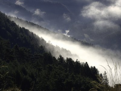 Randonnée du 27/11/2016 à la montagne de l'Aup, PB270038  Copier 
